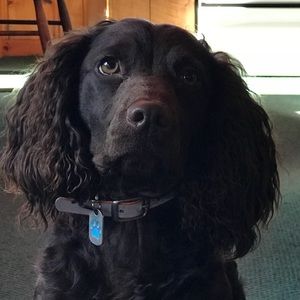 Meet your Posher, Dan